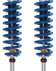 Shock Absorber Type C40 TS Rear