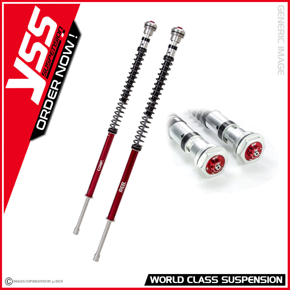Open Fork Cartridge Kit (20mm Piston) KAWASAKI ZX4RR – EPM
