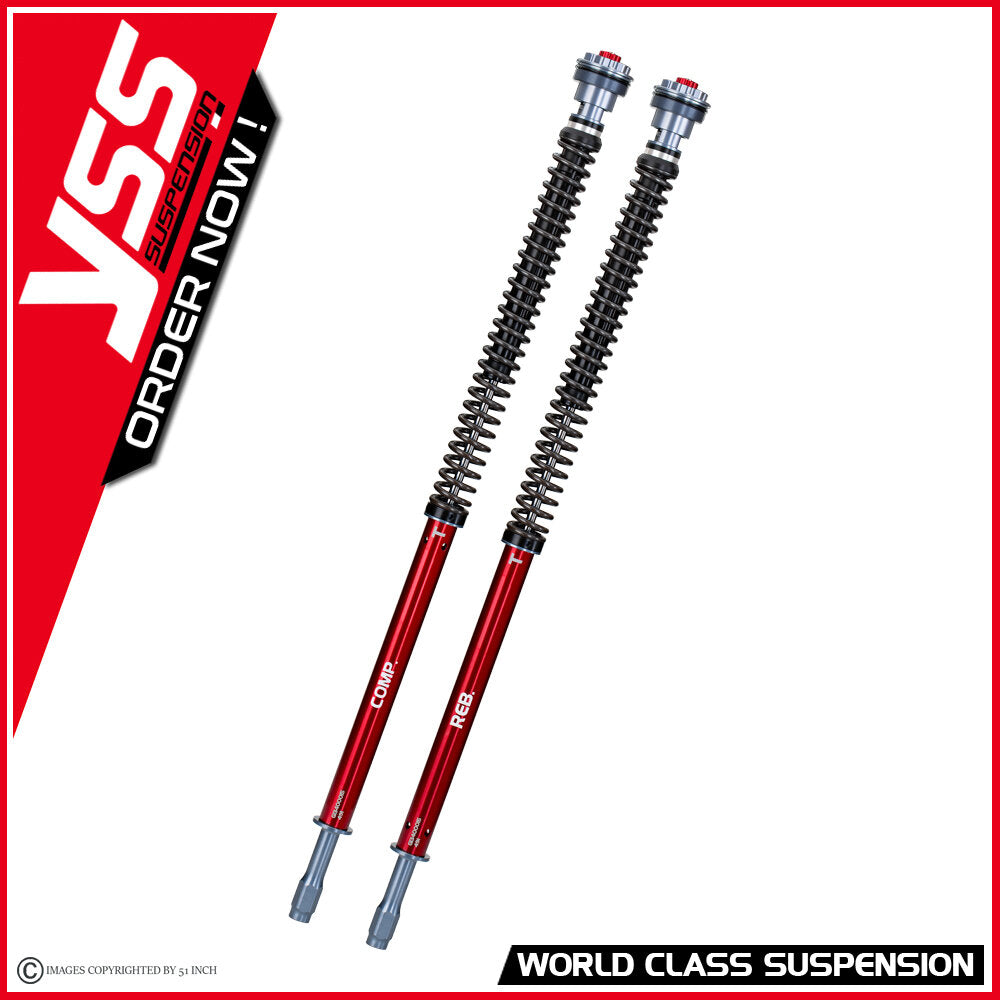 Open Fork Cartridge Kit (20mm Piston) -30mm Lower