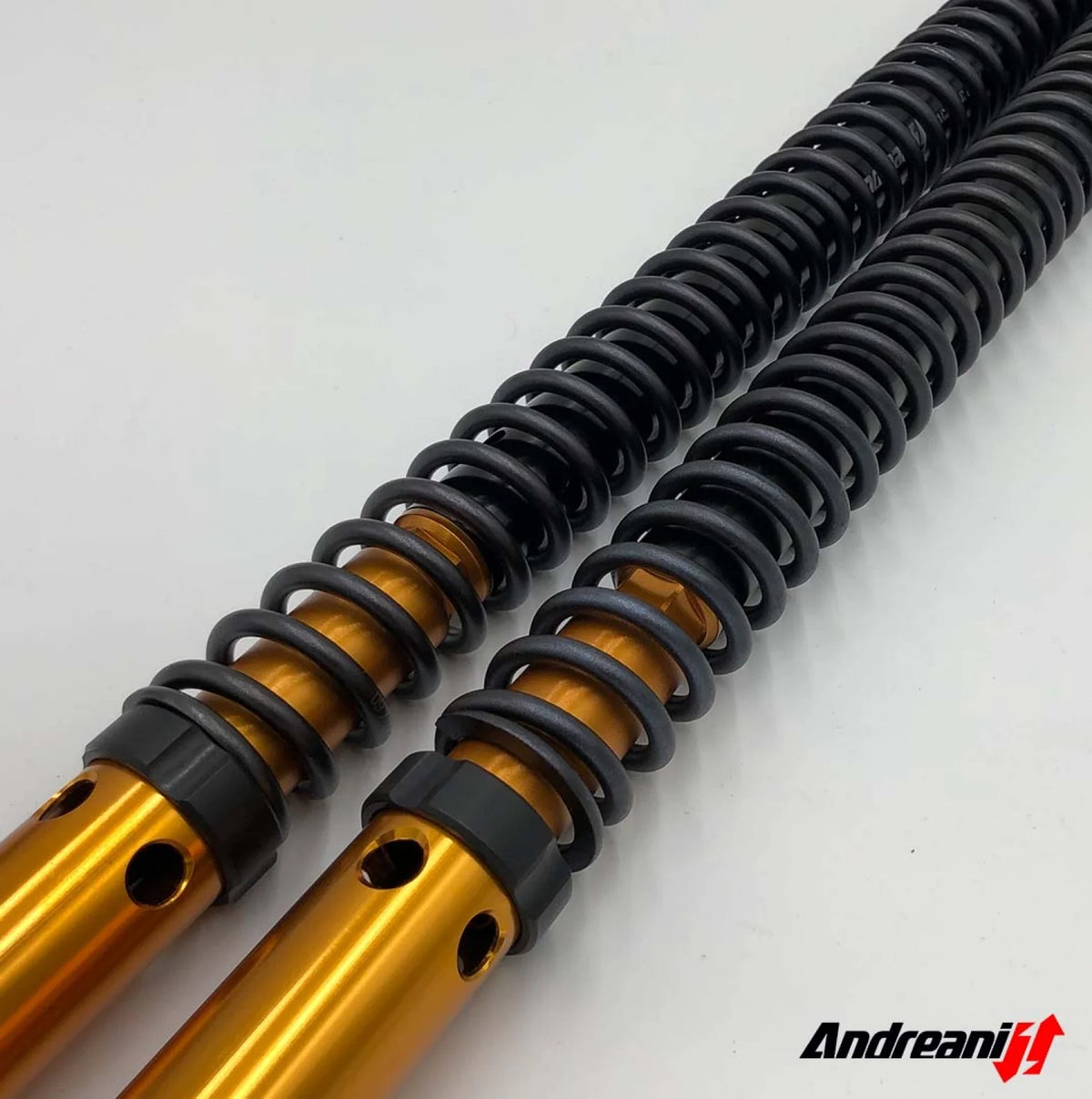 Andreani Rally Race Fork Cartridge Kit F 900 GS (ENDURO PRO package)
