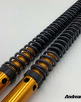 Andreani Rally Race Fork Cartridge Kit F 900 GS (ENDURO PRO package)