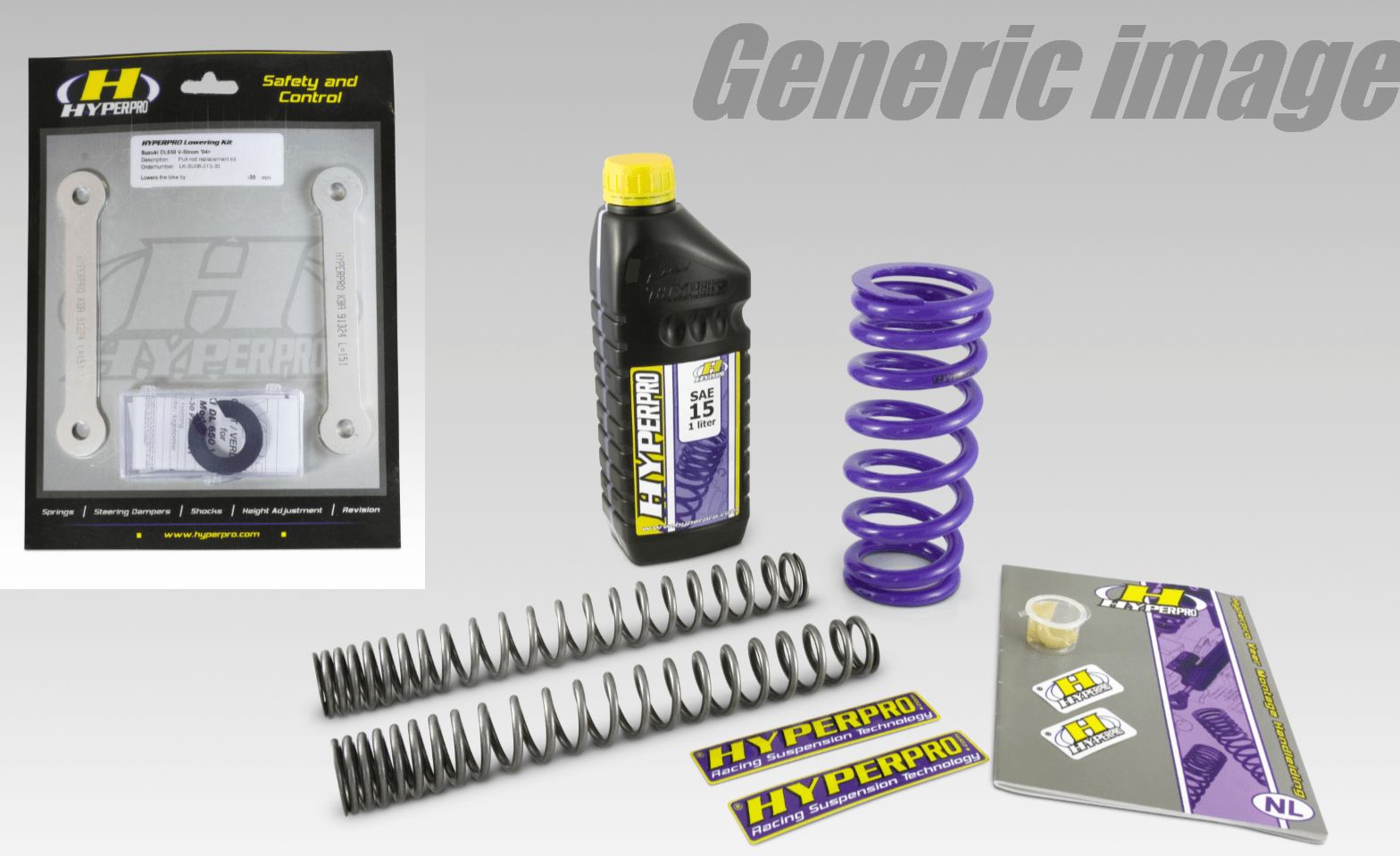 -25 mm Lowering Fork Spring &amp; Rear Link Kit