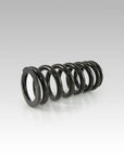 Rear Shock Spring