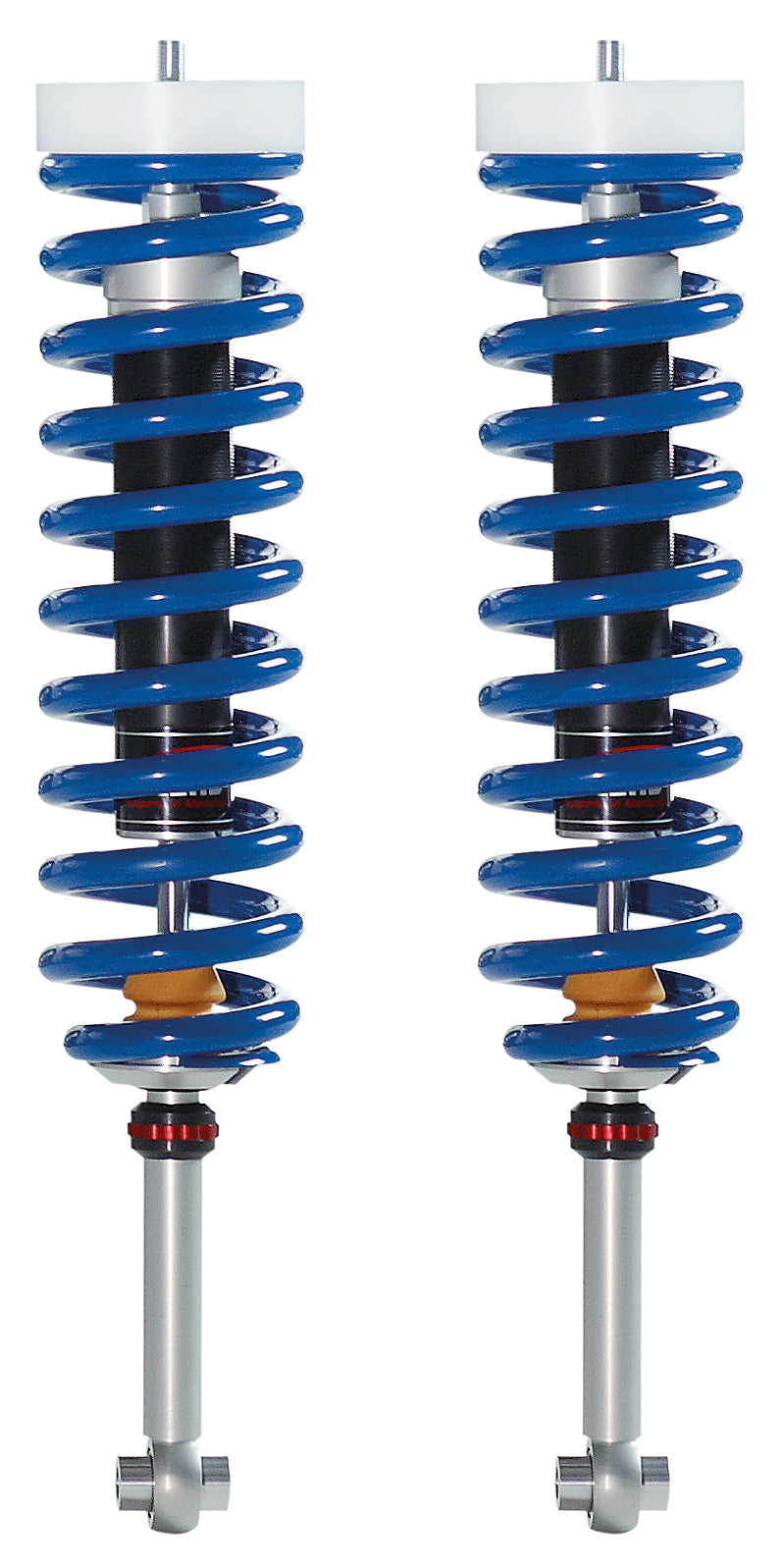 Shock Absorber Type C40 TS Back | EPM Performance