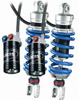 Shock Absorber Type C41 TS