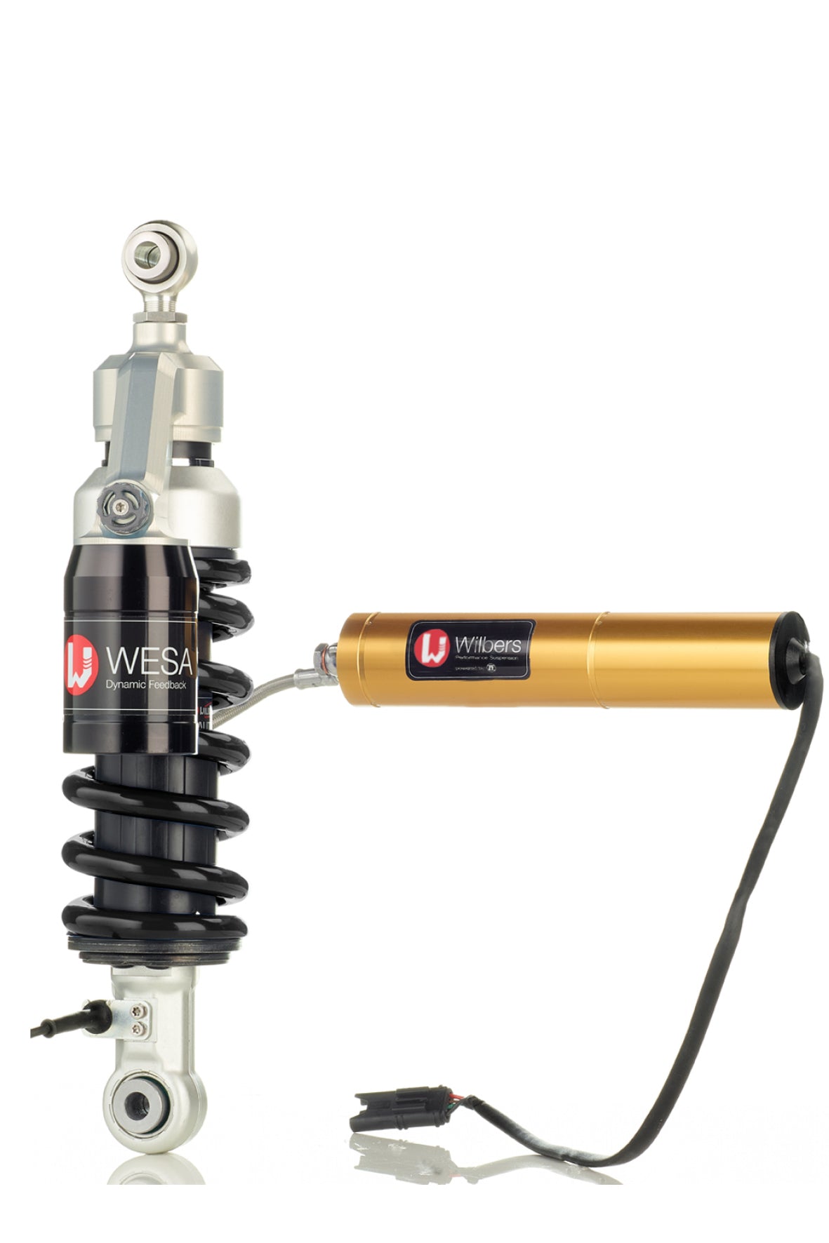 Swc Wesa Shock Absorber Type 644 WESA Dynamic Feedback Rear – EPM Performance ...